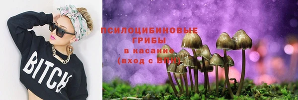 каннабис Беломорск