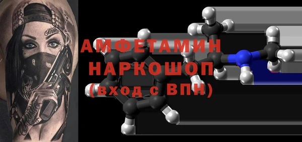 молекула духа Богородицк