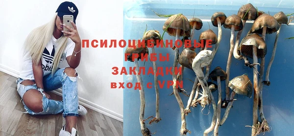 молекула духа Богородицк
