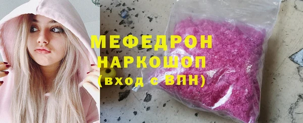 молекула духа Богородицк