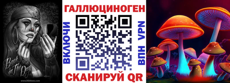 цена   Губкинский  Псилоцибиновые грибы GOLDEN TEACHER 