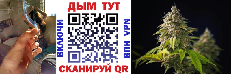 Канабис ГИДРОПОН  Губкинский 